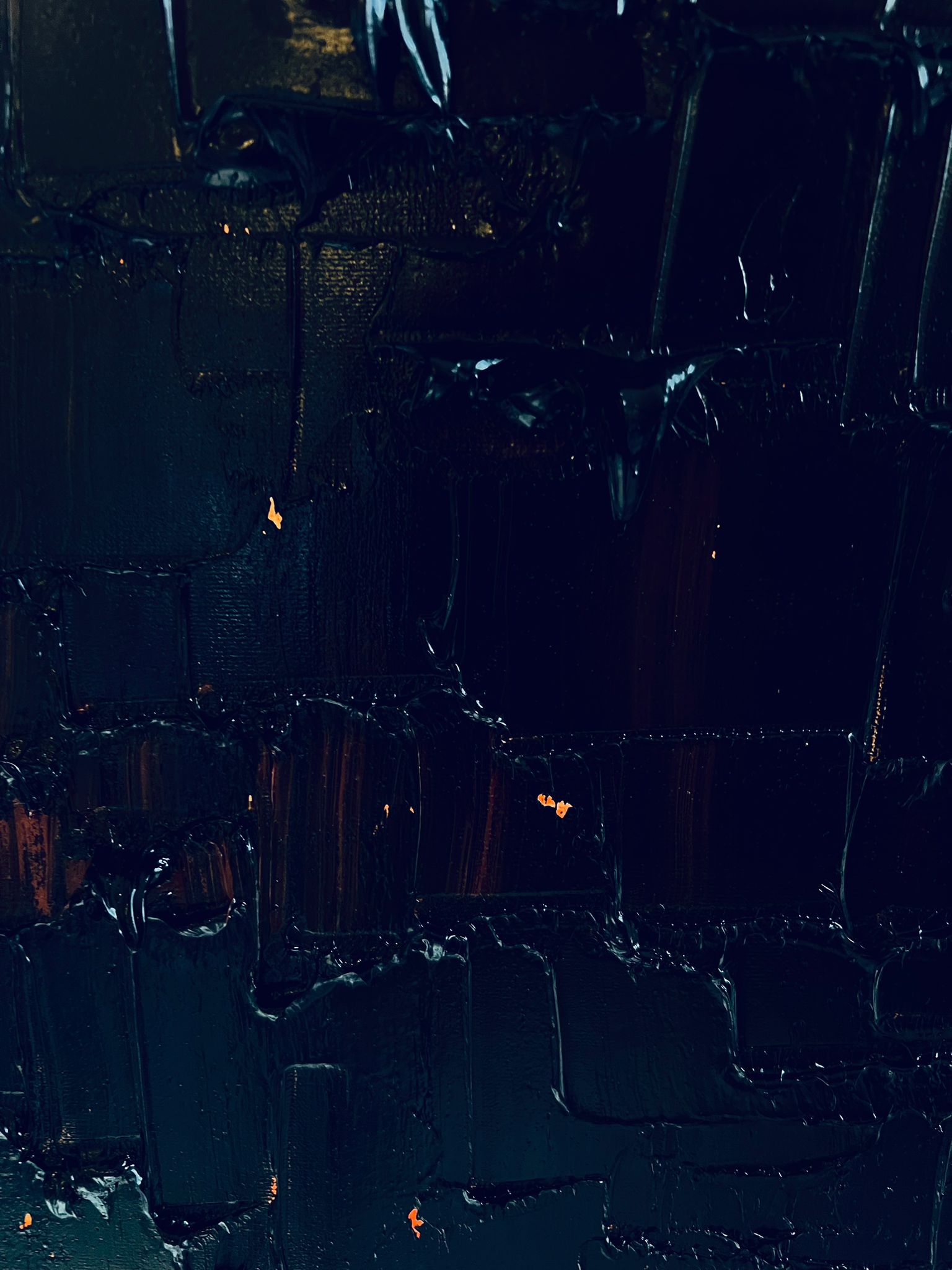 "Nero d'Averio" oil on canvas by Ieva Bondare executed in authors technique