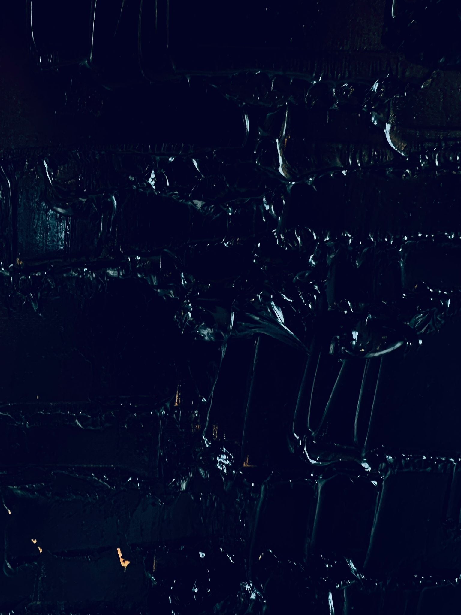 "Nero d'Averio" oil on canvas by Ieva Bondare executed in authors technique