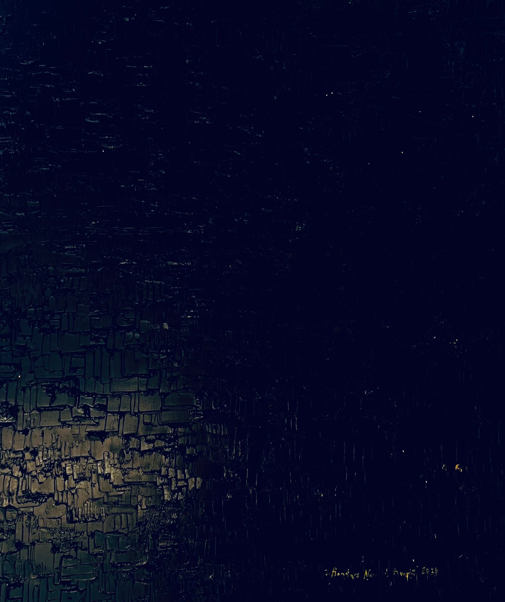 "Nero d'Averio" oil on canvas by Ieva Bondare executed in authors technique