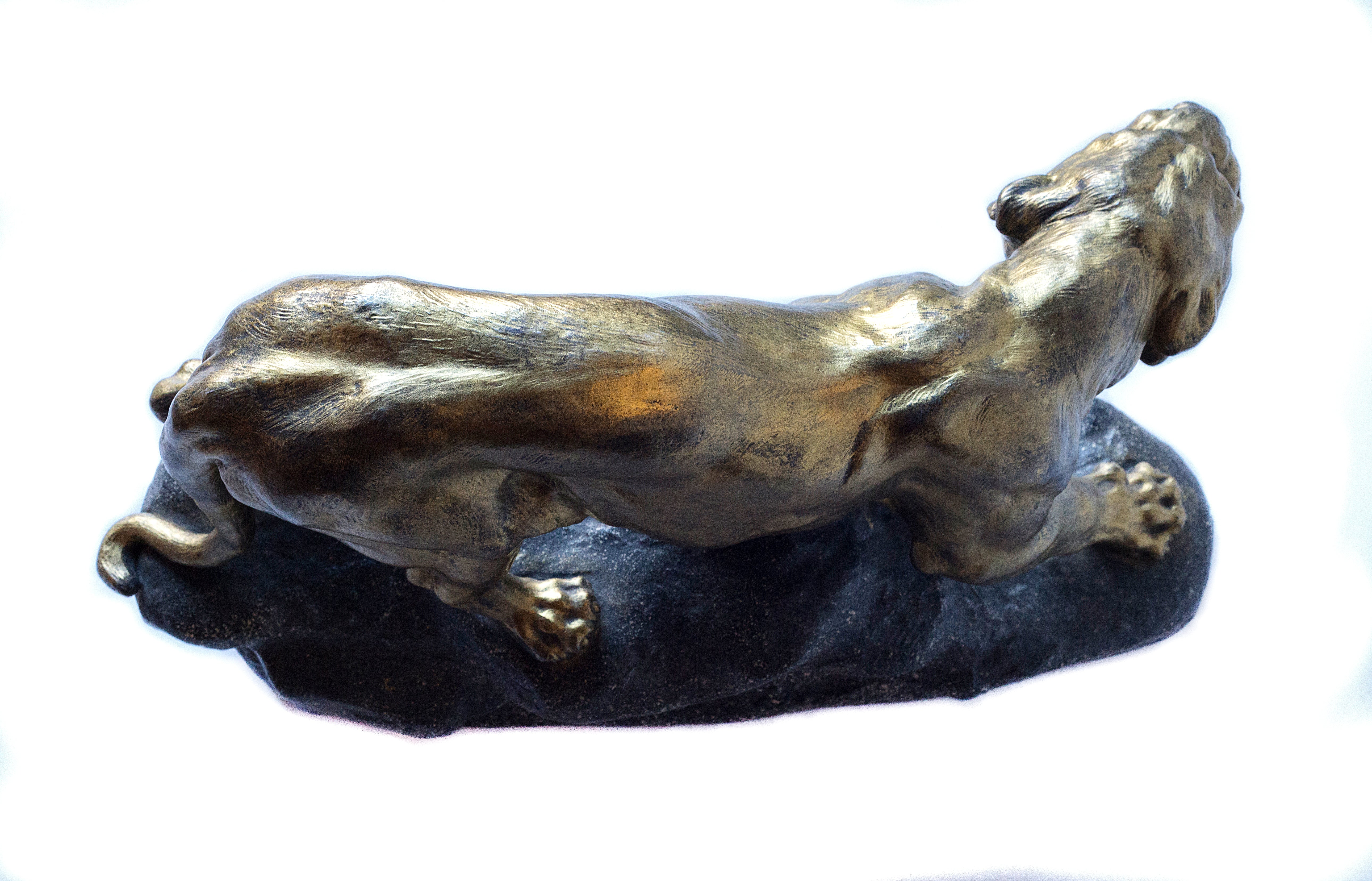 Stunning Cartier 19th century Lioness sculpture on stone base