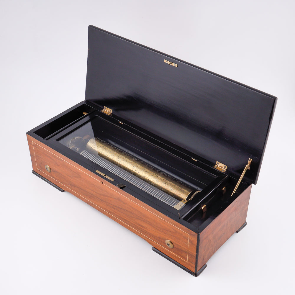 Antique Francs of Switzerland music box