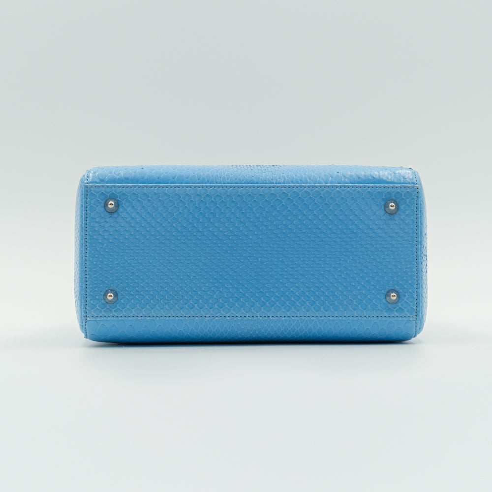 Bolso Tote Lady Dior Edición Especial Tamaño Mediano Piel Pitón Azul Glaciar