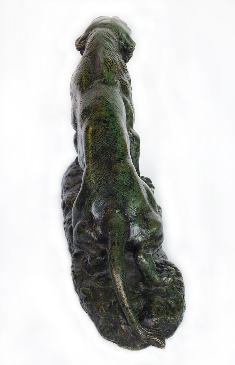 19th century Bronze with green patina Roaring panther by Thomas Francois Cartier