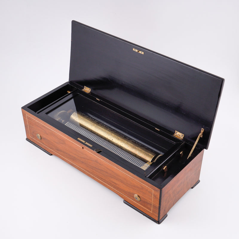Antique Francs of Switzerland music box