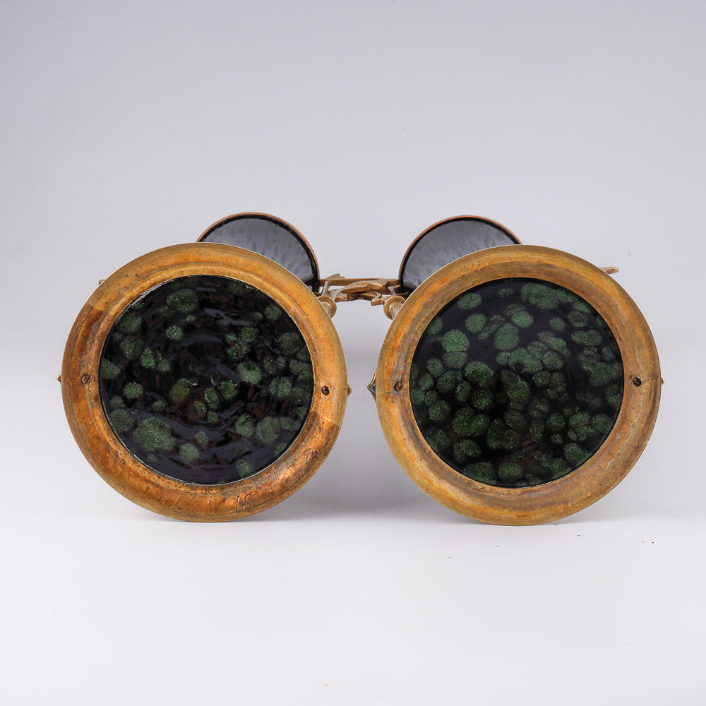 Pair of Jugendstyle vases with floral motifs and  bronze framework