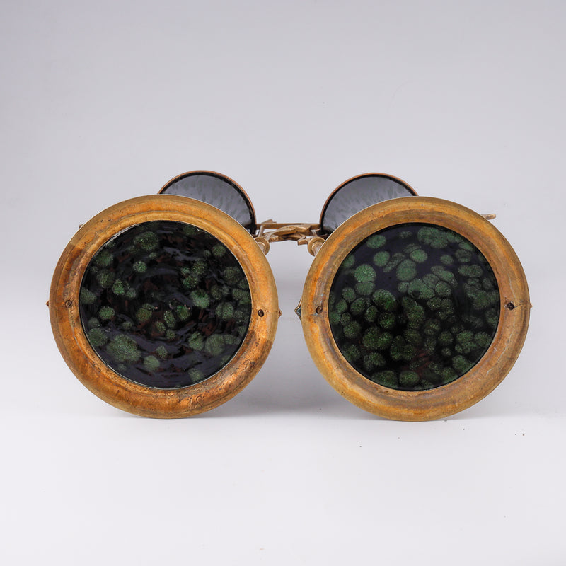 Pair of Jugendstyle vases with floral motifs and  bronze framework